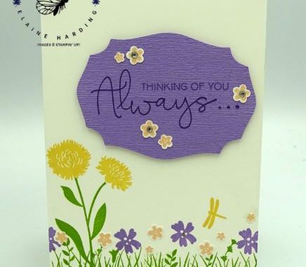 Stampin up field of Flowers card by Elaine Harding