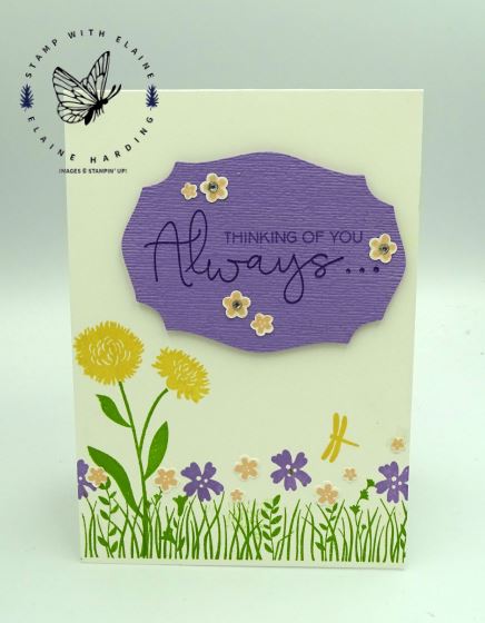 Field of Flowers Bundle-Tasteful Labels tent card by Elaine Harding