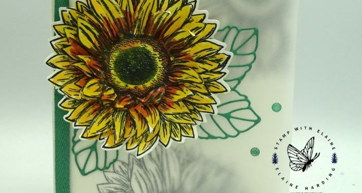 Celebrate Sunflowers vellum card