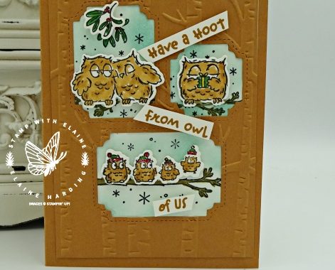 Have a Hoot general card