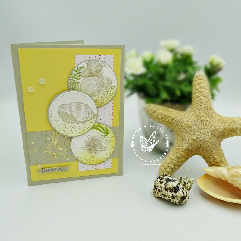 thank you card from a sketch with seashells, embossing and gilding