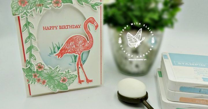blended background with oval window birthday card with flamingo