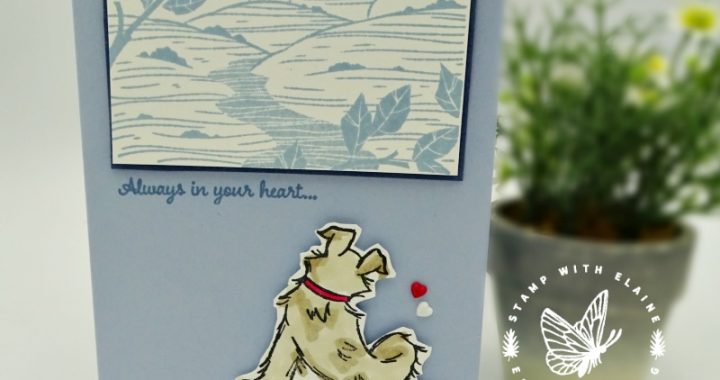 sympathy card for a pet