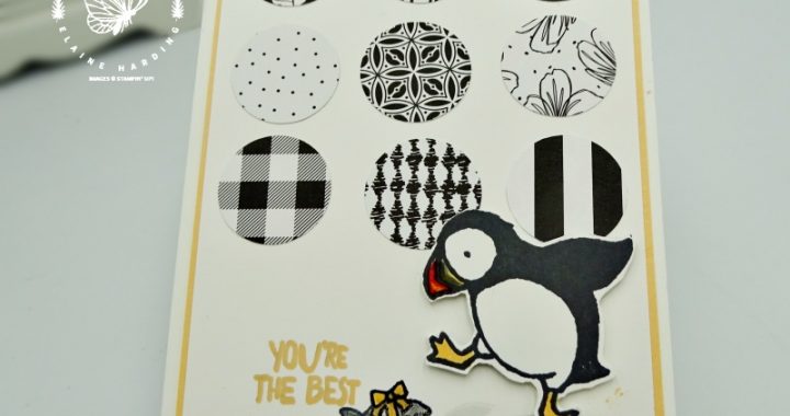 grid of circles with "you're the best" sentiment and puffin