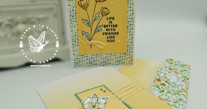 gift card with a twist color & contour bundle