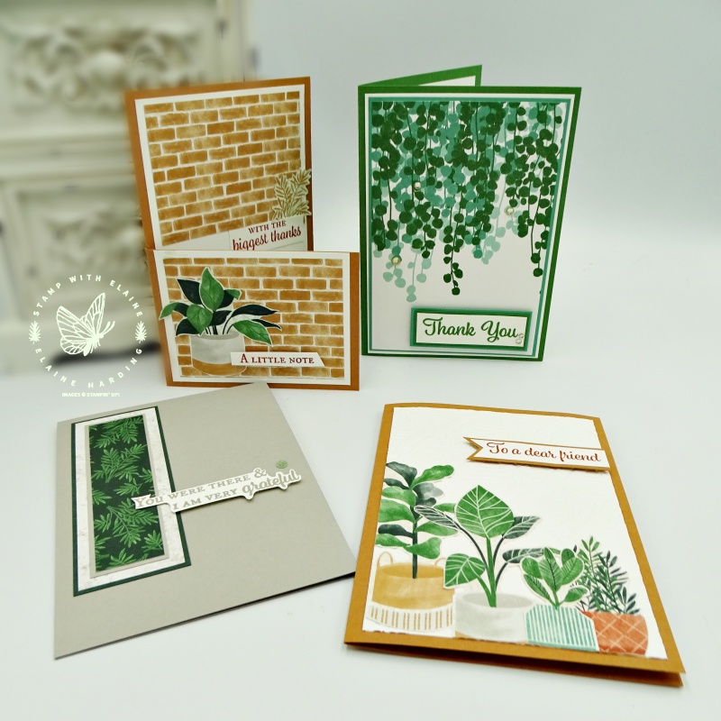 collection of 4 cards made with patterned paper from Bloom where you're planted