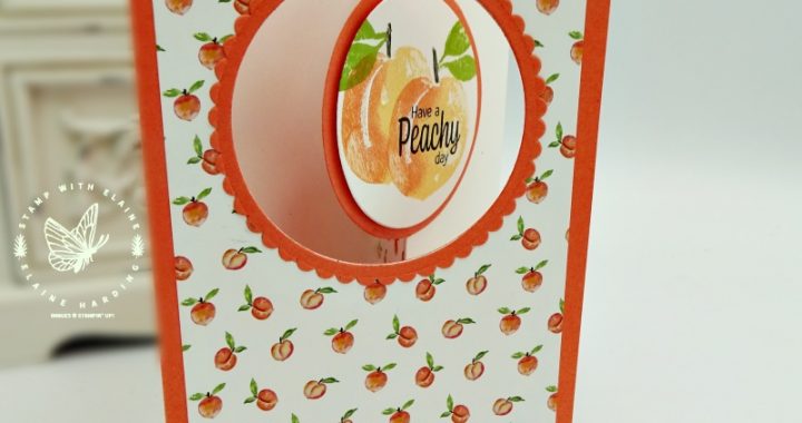 fancy pull out card with Sweet as a Peach bundle