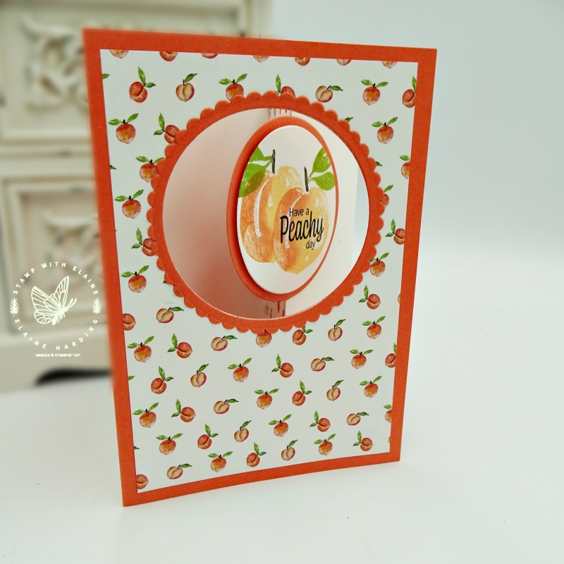 fancy fold pull out card with You're a Peach