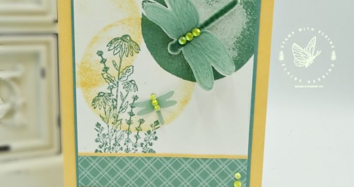 clean and simple card with watercolor shapes and dragonfly garden
