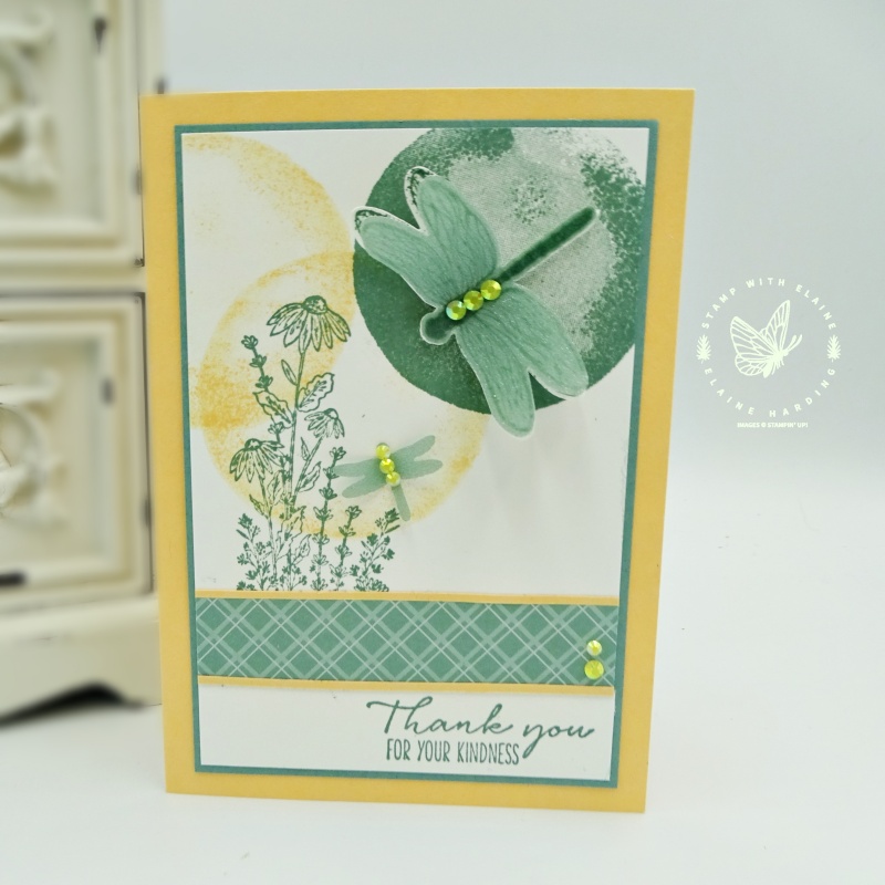 clean and simple card dragonflies with watercolor shapes