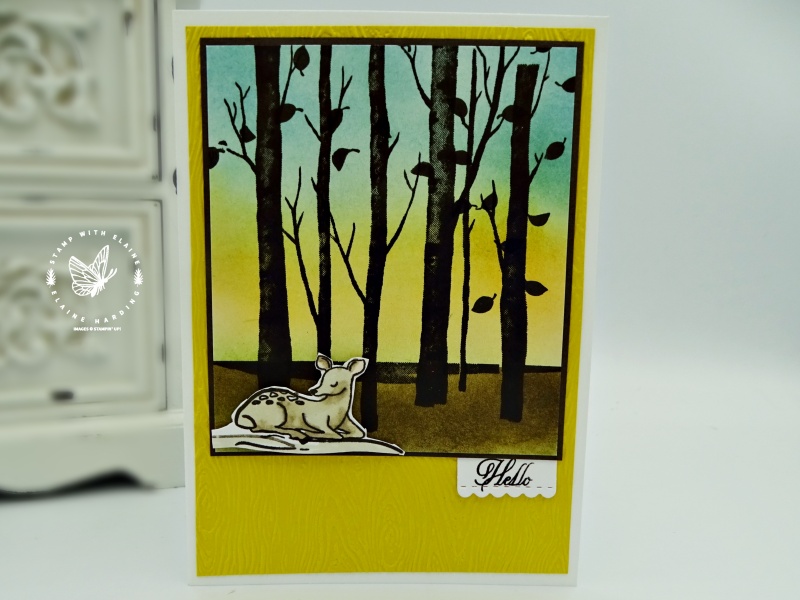 blended card with welcoming woods