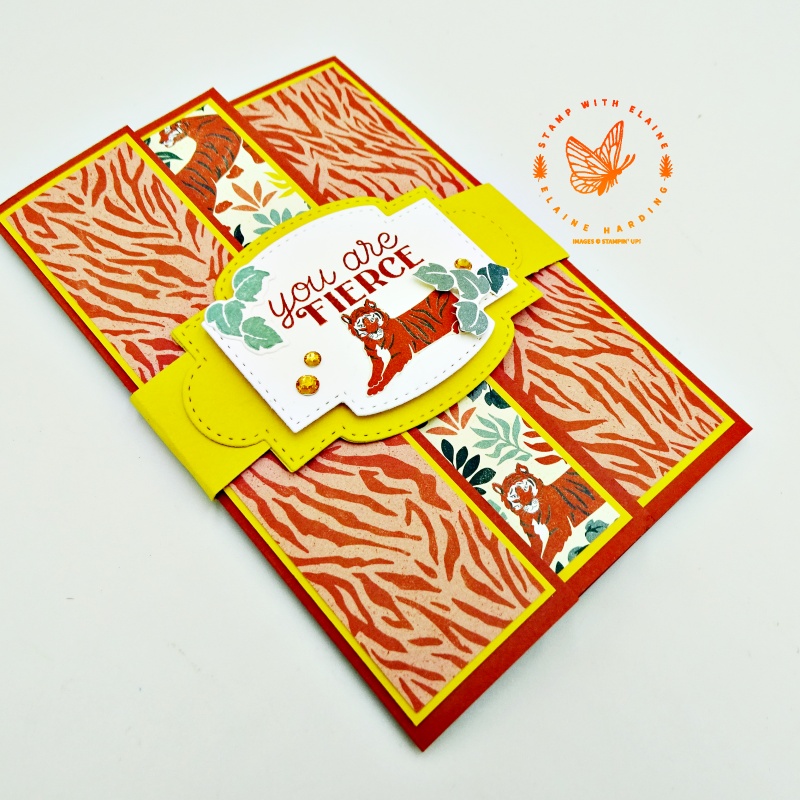 Triple fancy fold card - Wild Cats - Stamp with Elaine