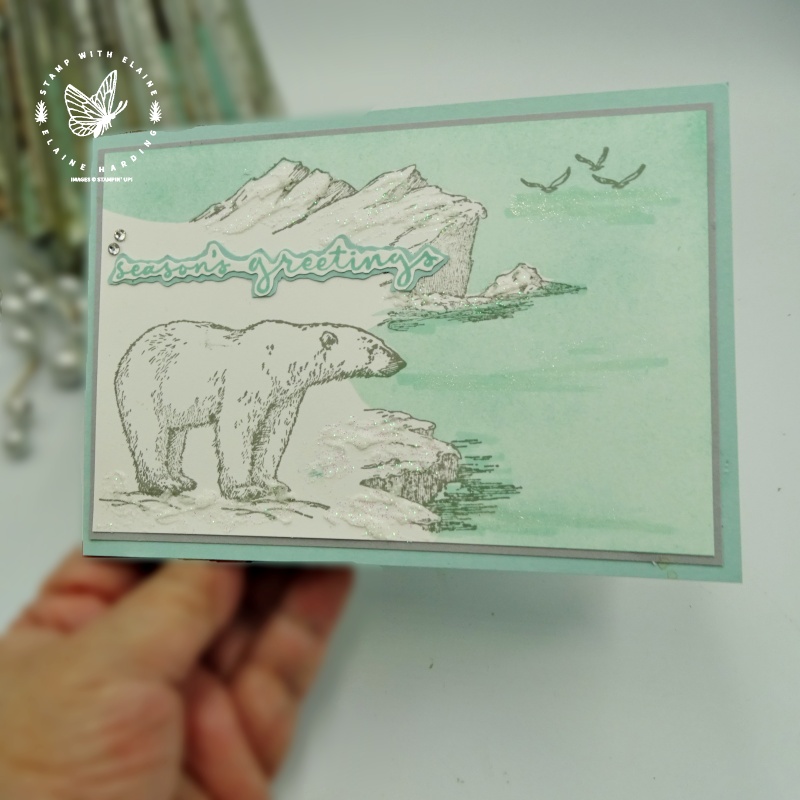 christmas card with polar bear with Arctic Bears Bundle