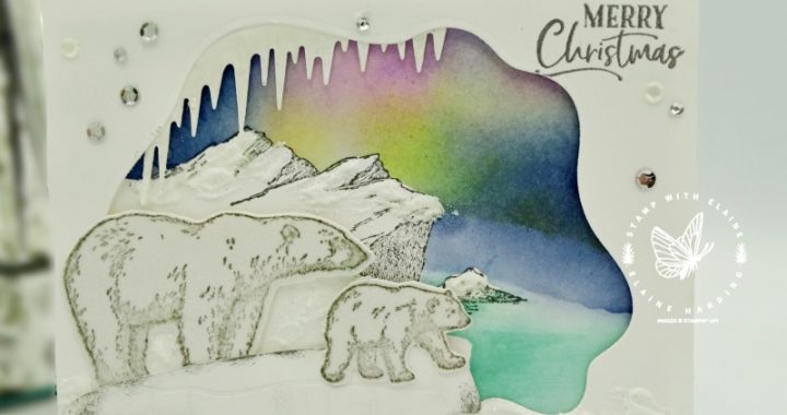 diorama card with arctic bears bundle