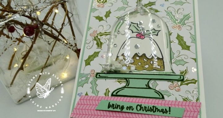 cute Christmas shaker card with Sweets & Treats