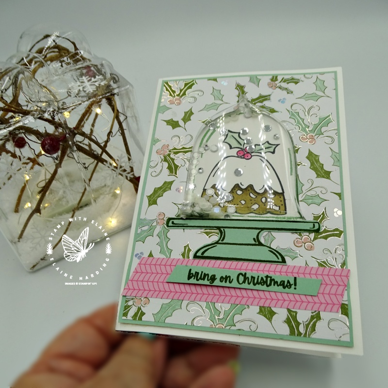 cute Christmas shaker card with Sweets & Treats 