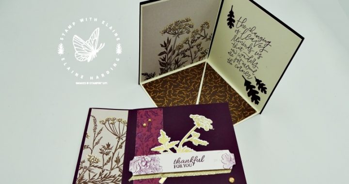 fancy fold corner pop up card with Beauty of Tomorrow Bundle
