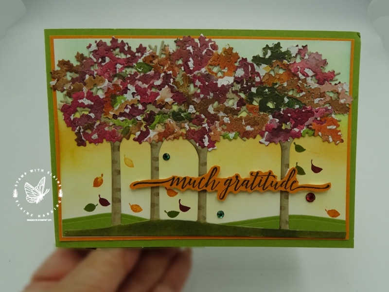 thanksgiving card with Inspiring canopy dies