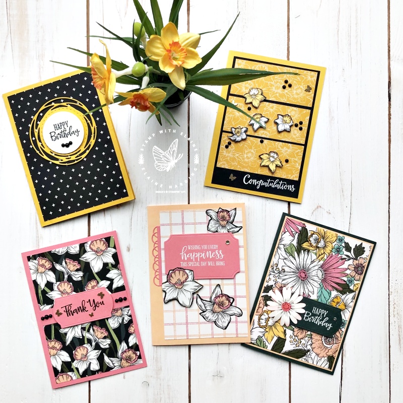 5 cards with Daffodil Afternoon designer series papers sale-a-bration