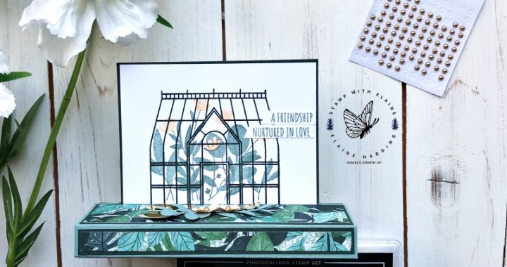 stand alone pop up card with Garden Greenhouse