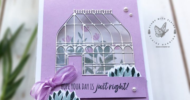 window card with garden greenhouse