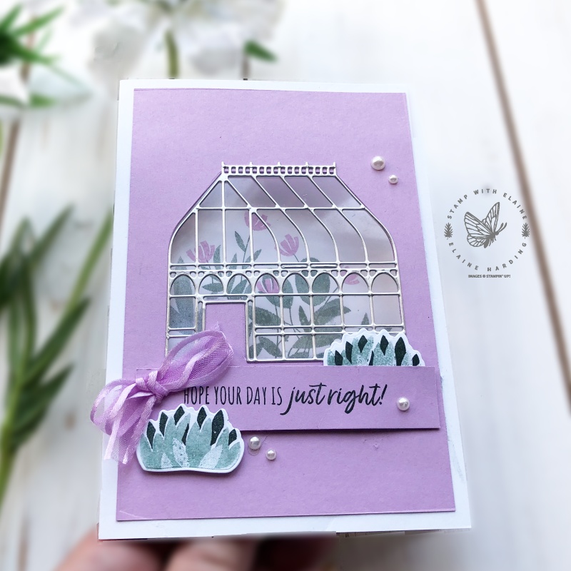 Window card with Garden Greenhouse - Stamp with Elaine