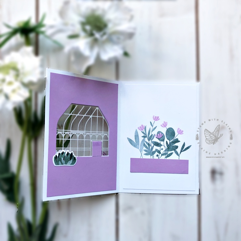 inside window of garden greenhouse card