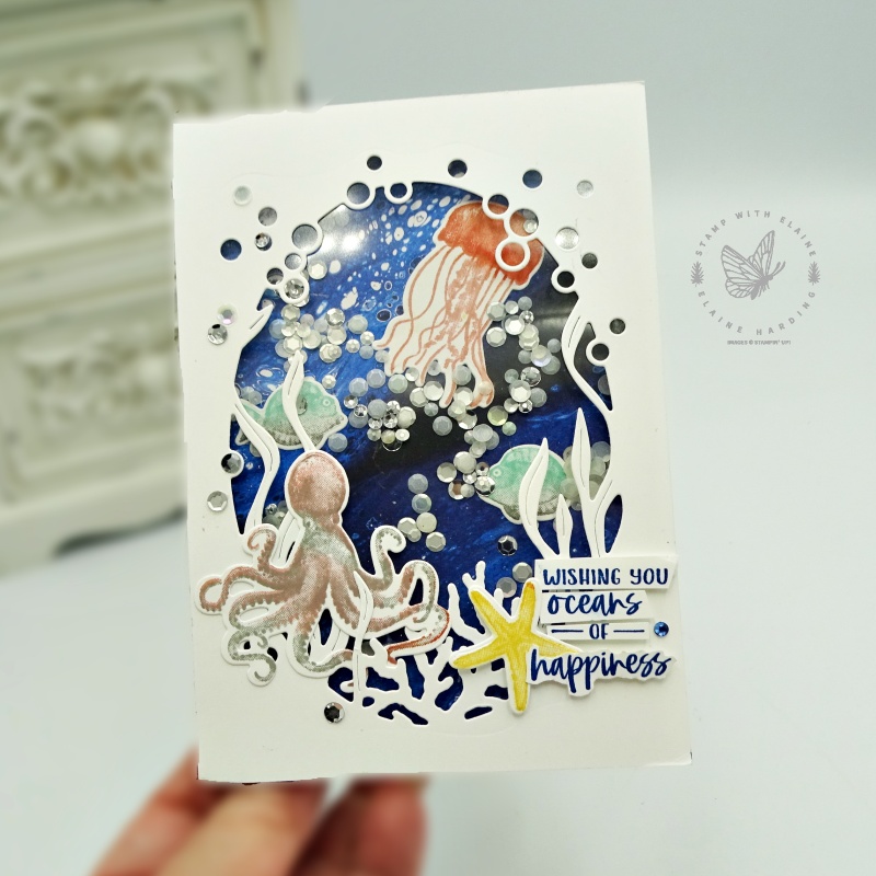nautical shaker card with Seas the Day