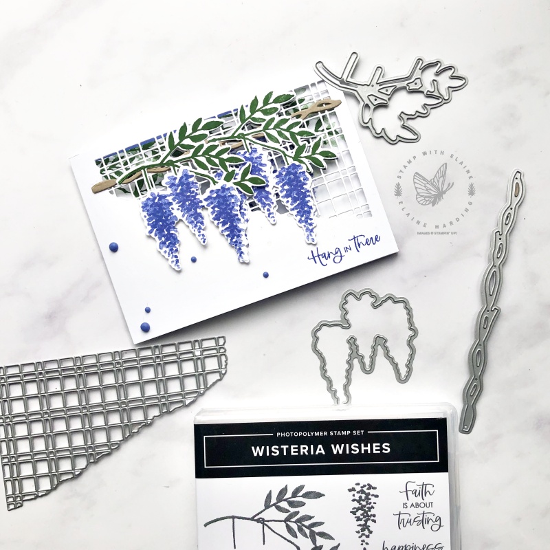 split trellis card with Wisteria Wishes