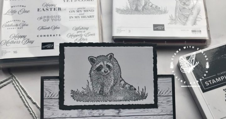 easel-card-wild-and-sweet