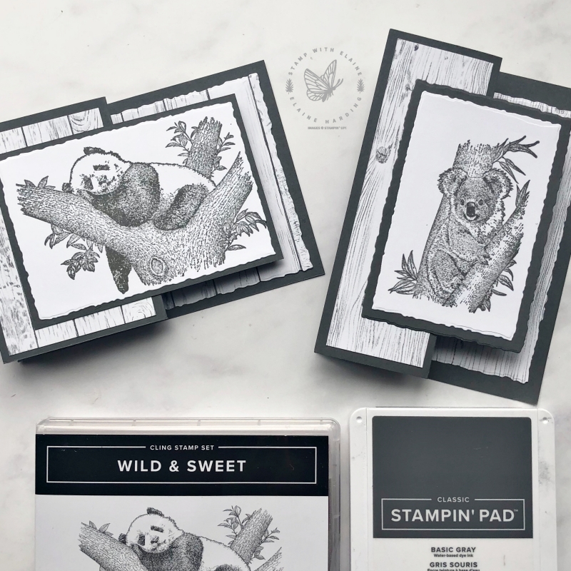 z-fold cards in landscape and portrait with Wild and Sweet