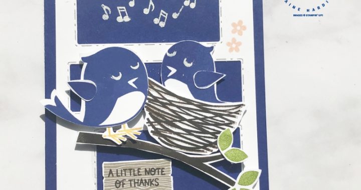 peekaboo-card-sweet-songbirds