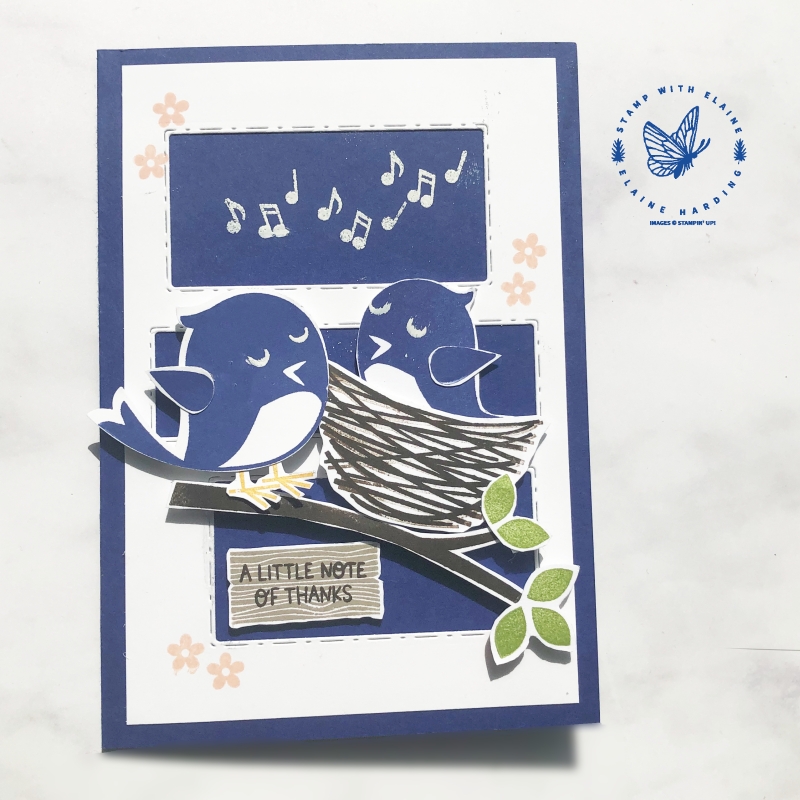 peekaboo-starry-sky-sweet-songbirds-card