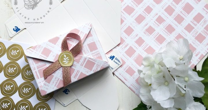 gift packaging with envelope treat box