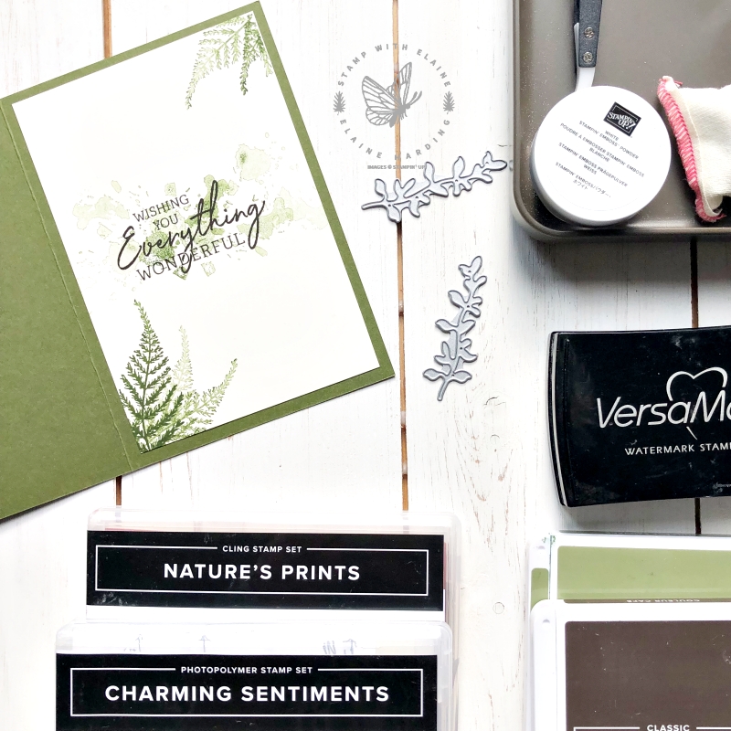 inside bday with wildlife wonder, natures prints and charming sentiments
