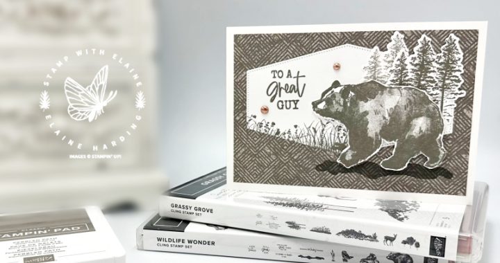 easy pebbled path masculine card with wildlife wonder