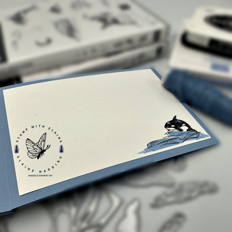 inside Boho Blue Whale Watching and Waves of Inspiration card