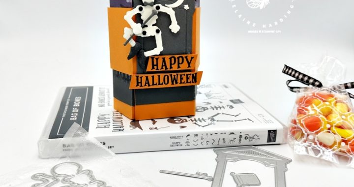 Halloween treat box with belly band and Bag of Bones