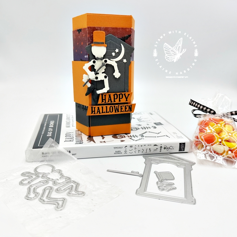 Treat box with belly band and Bag of Bones bundle