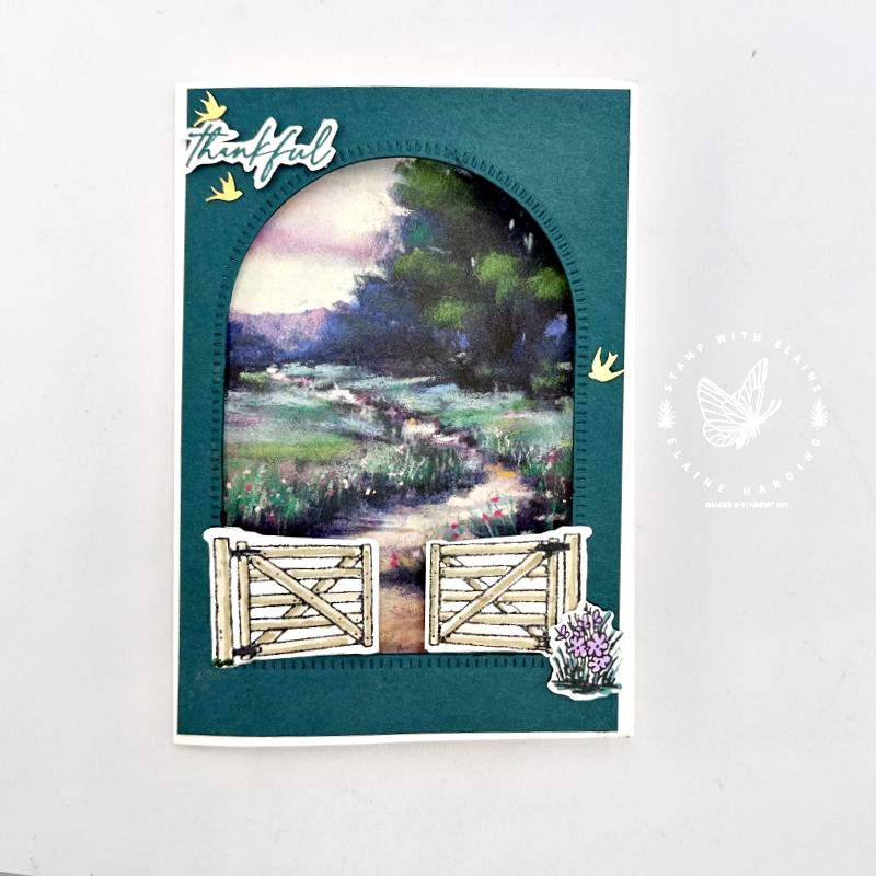 Pretty Peacock Trifold card closed with Garden Meadows bundle