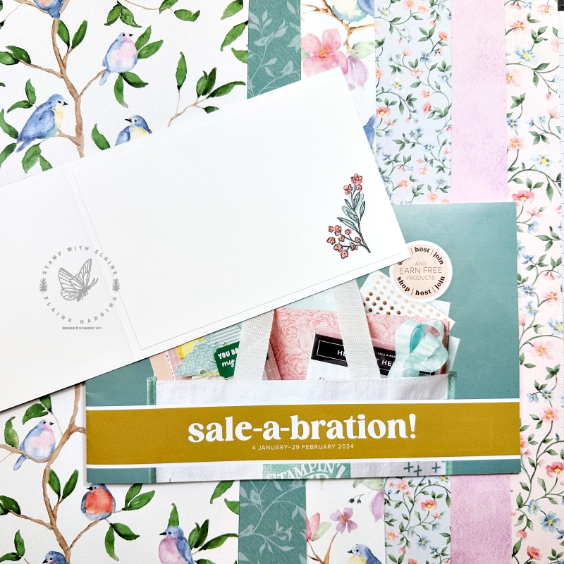 Sale-a-bration Flight & Airy DSP inside card Thoughtful Expressions bundle