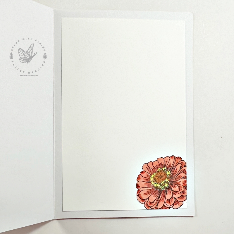 inside sweet thoughts memories & More cards and envelops with simply zinnias