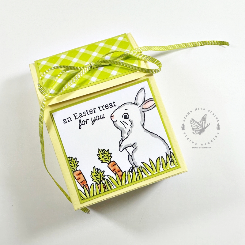 Lemon Lolly pinched top box with Lemon Lime Twist ribbon and Easter Bunny
