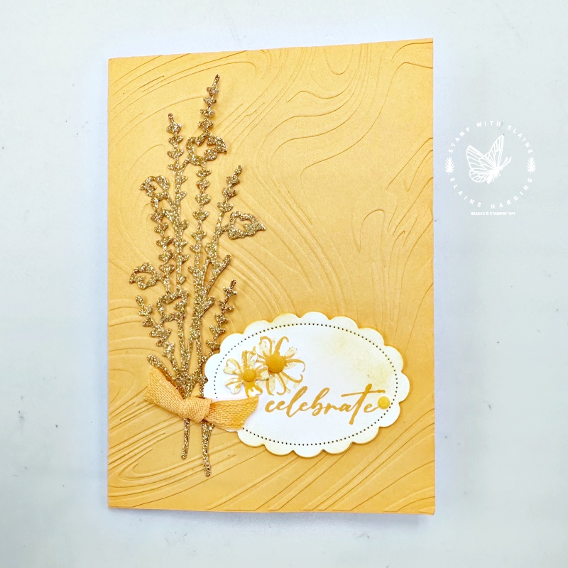 Peach Pie swirly embossed card with Unbounded Beauty
