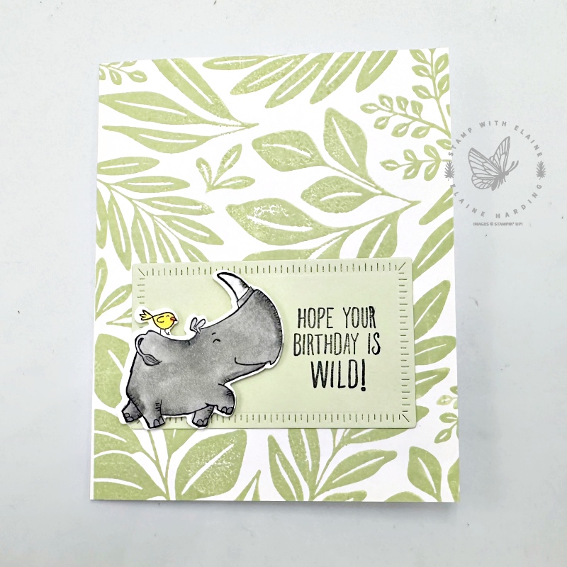 birthday card Rhino Ready and Leaf Collection
