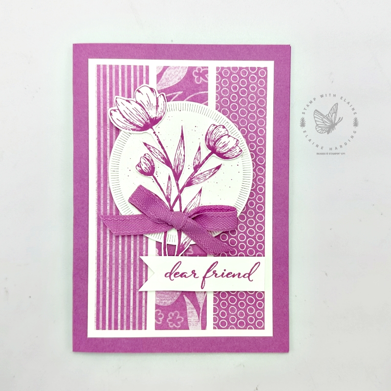 monotone petunia pop spotlight on nature card