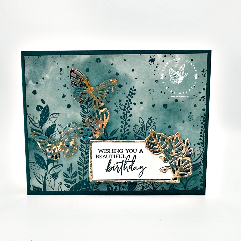 Pretty Peacock landscape birthday card with Sketched Butterfly bundle and Unbounded Love Dies