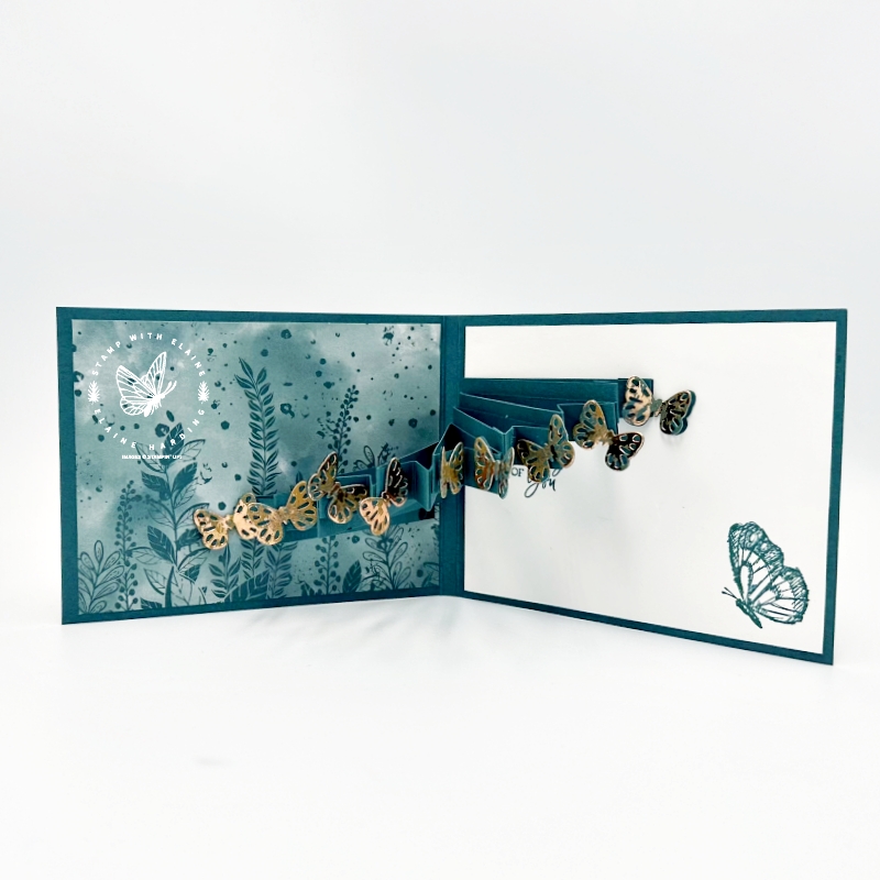 Stadium fold inside Pretty Peacock Sketched Butterfly bundle birthday card