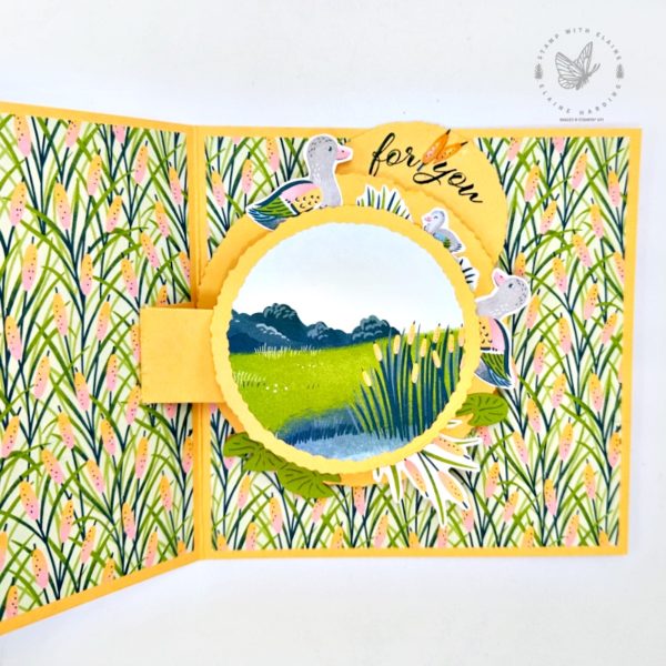 How to create a Rotating Pop-up card - Stamp with Elaine