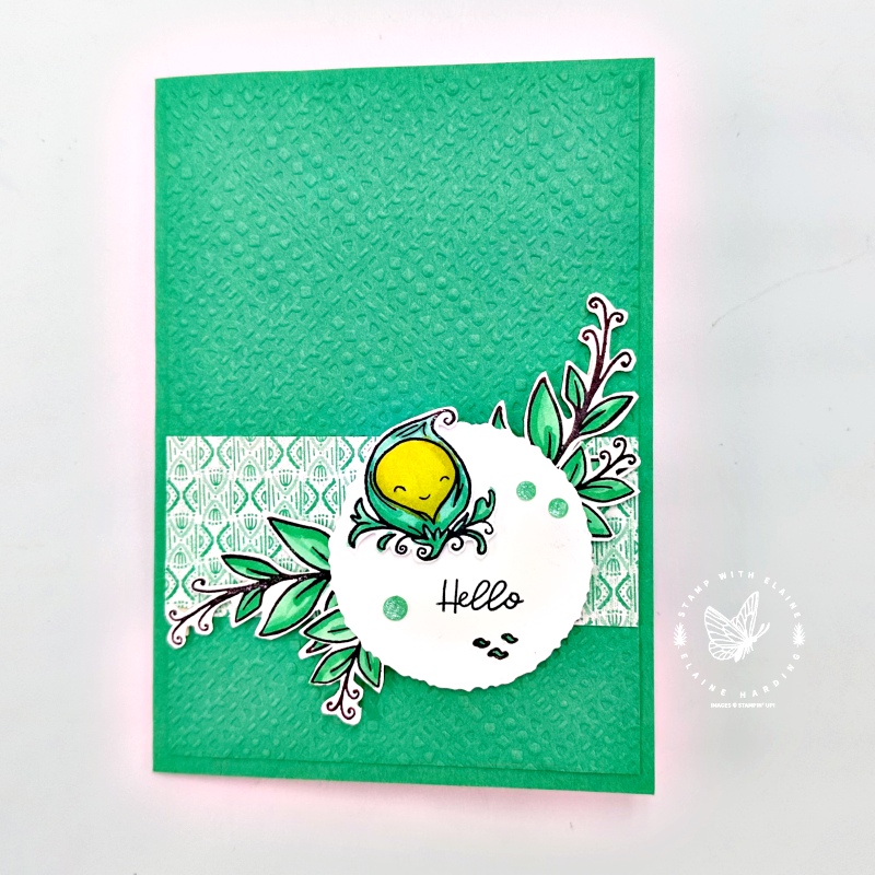 Shy Shamrock reveal pop-up  inside card with Sweet Peas